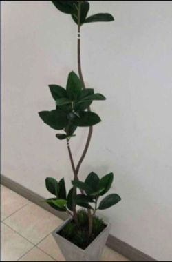*** SPECIAL *** 8ft Faux Fiddle Leaf Fig Tree with Dragon Blood Stone in a Gray Ceramic Planter @ Lasting Creations