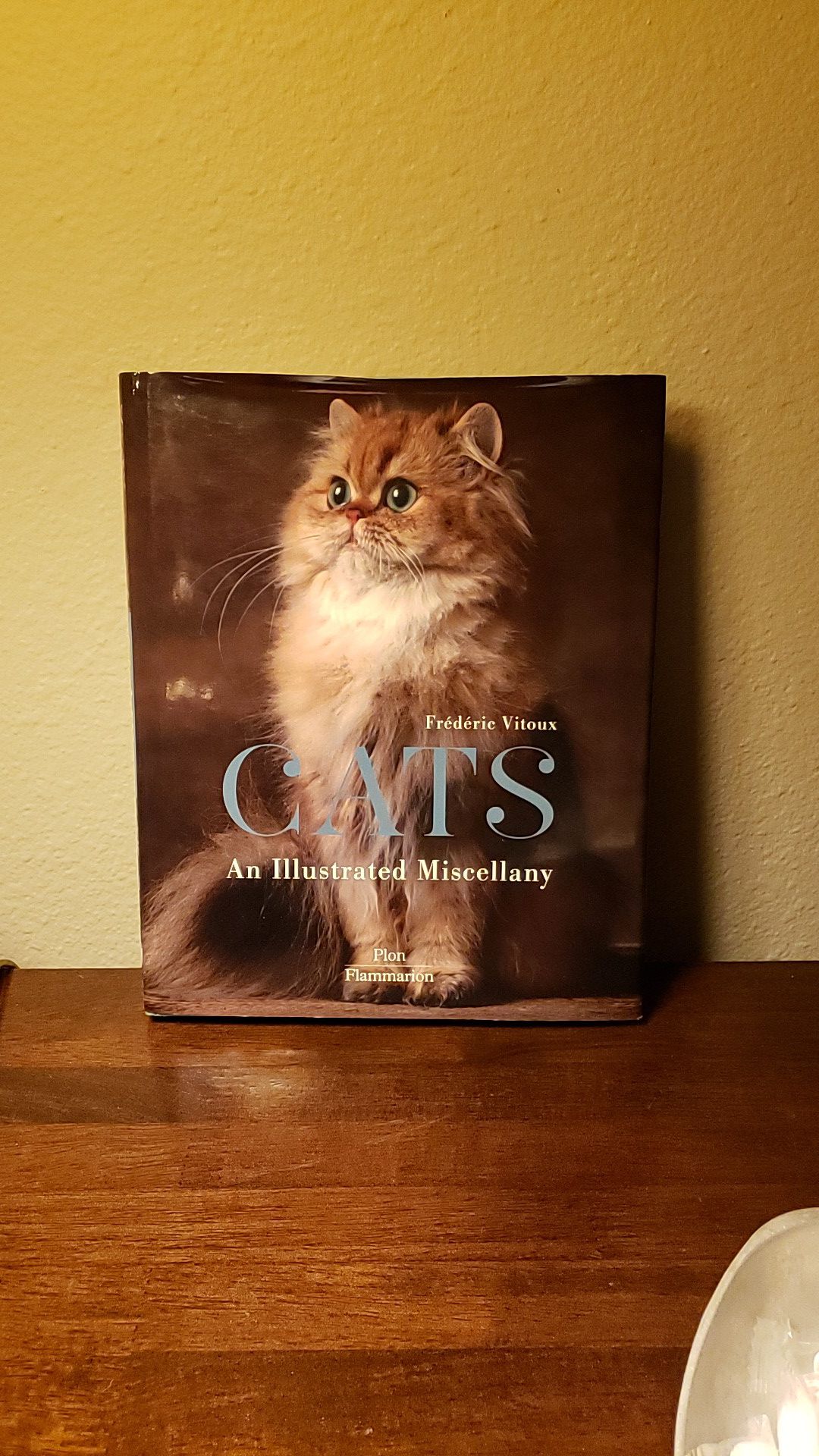 Cats, hardcover book