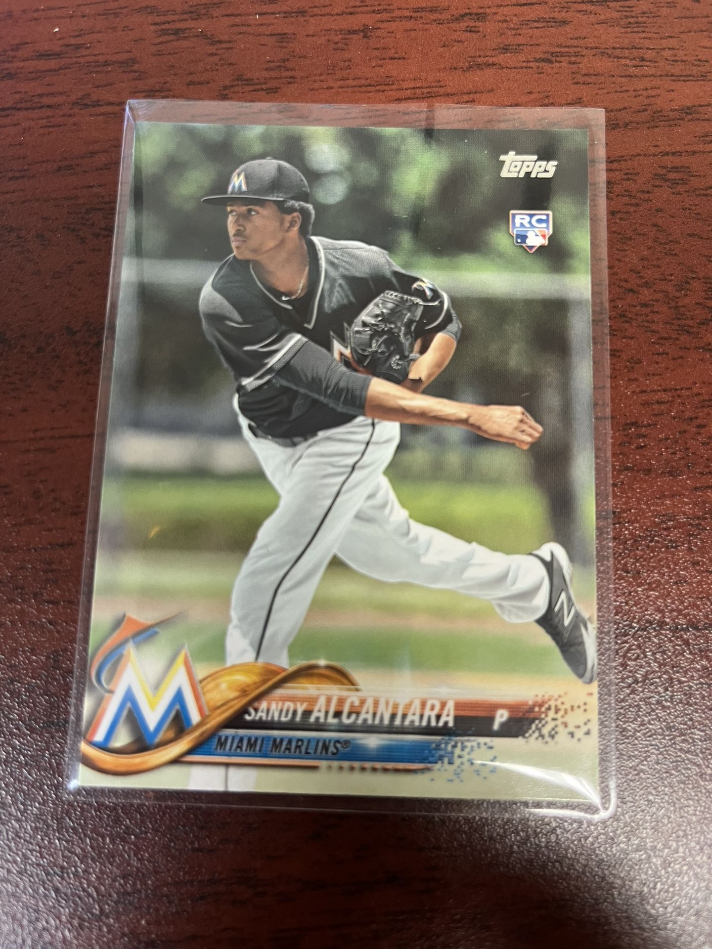 Sandy Alcantara Rookie Card  