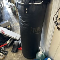 Everlast Heavy Bag