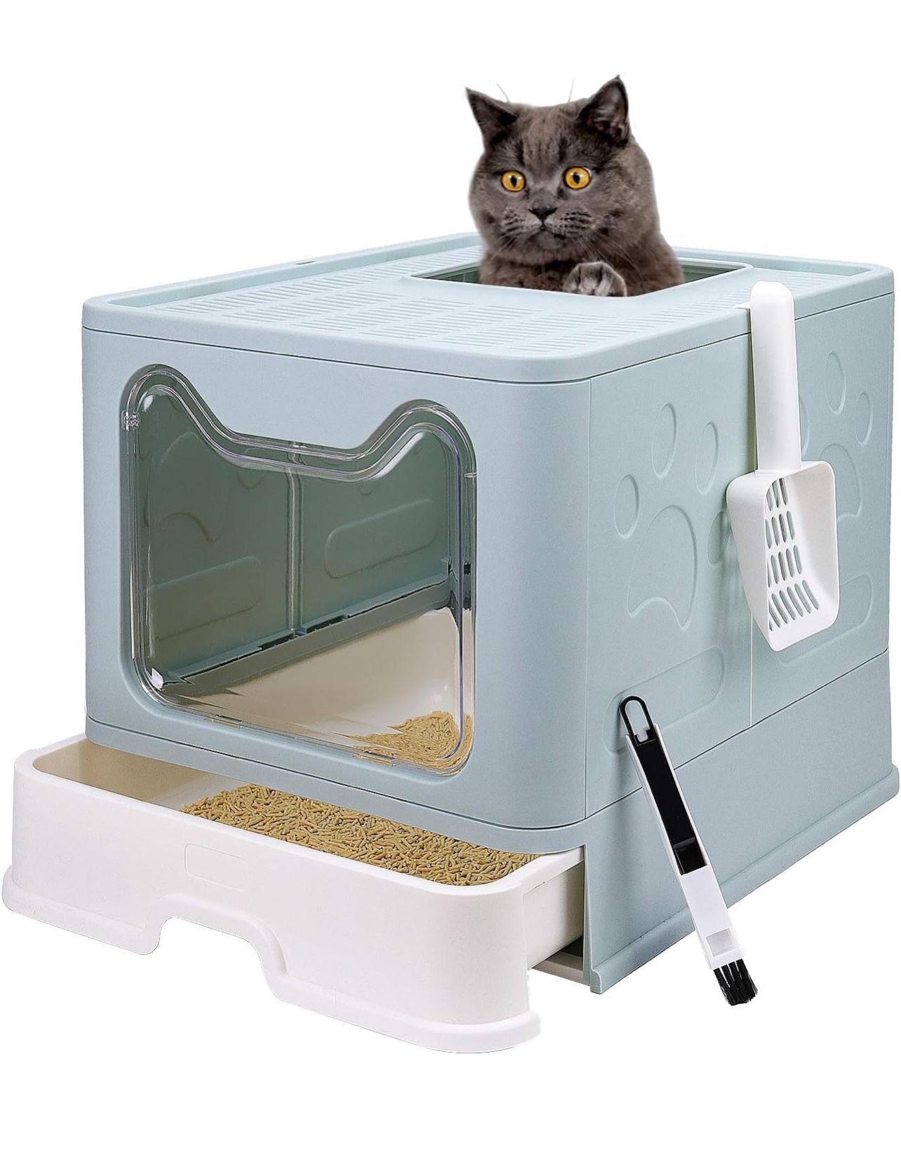 Cat Litter Box And Litter - Large