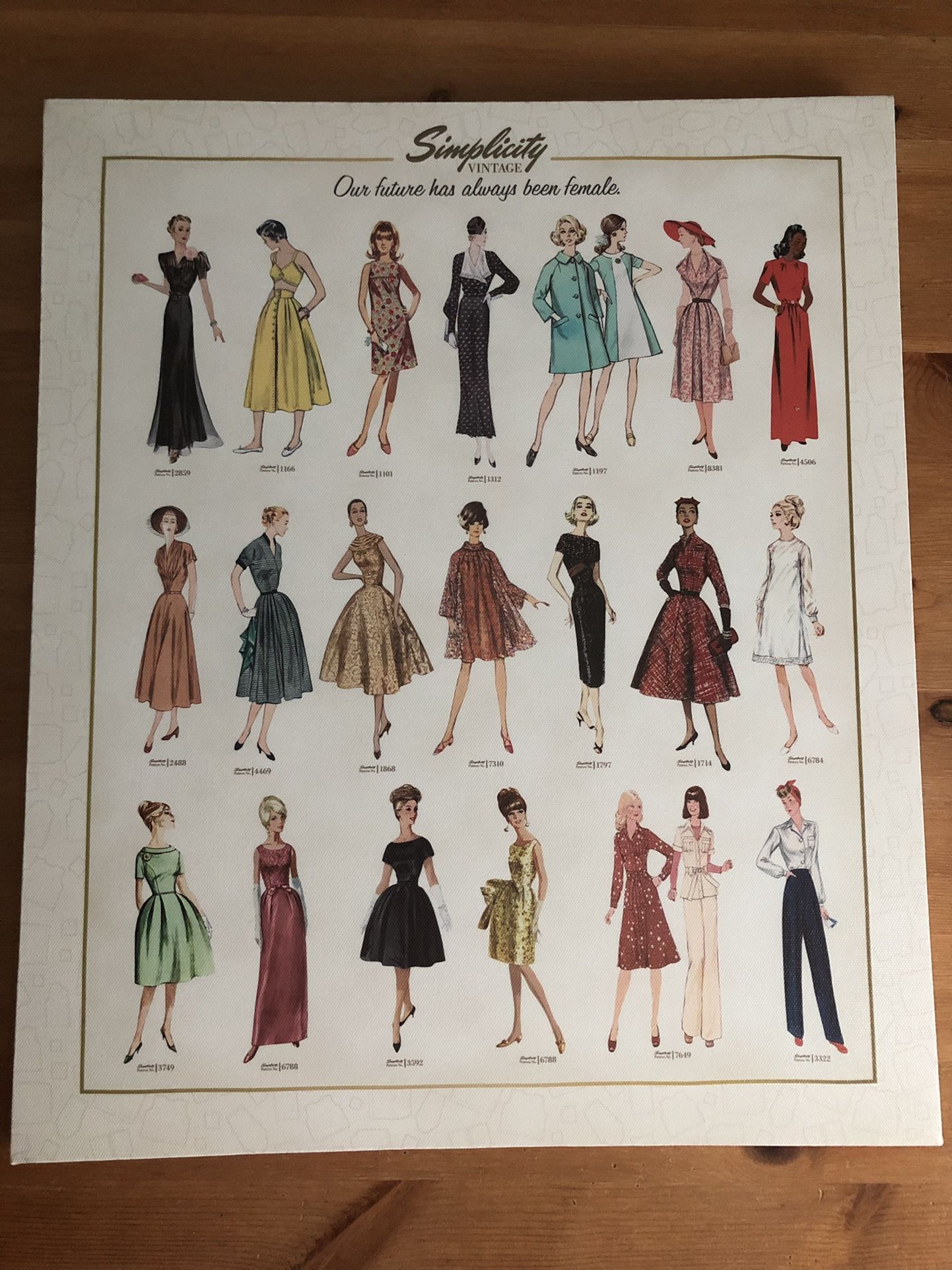 Simplicity Vintage sign - future is female
