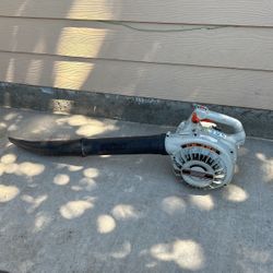 Echo Leaf Blower