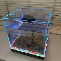 Fish Tank 3 Gallons 