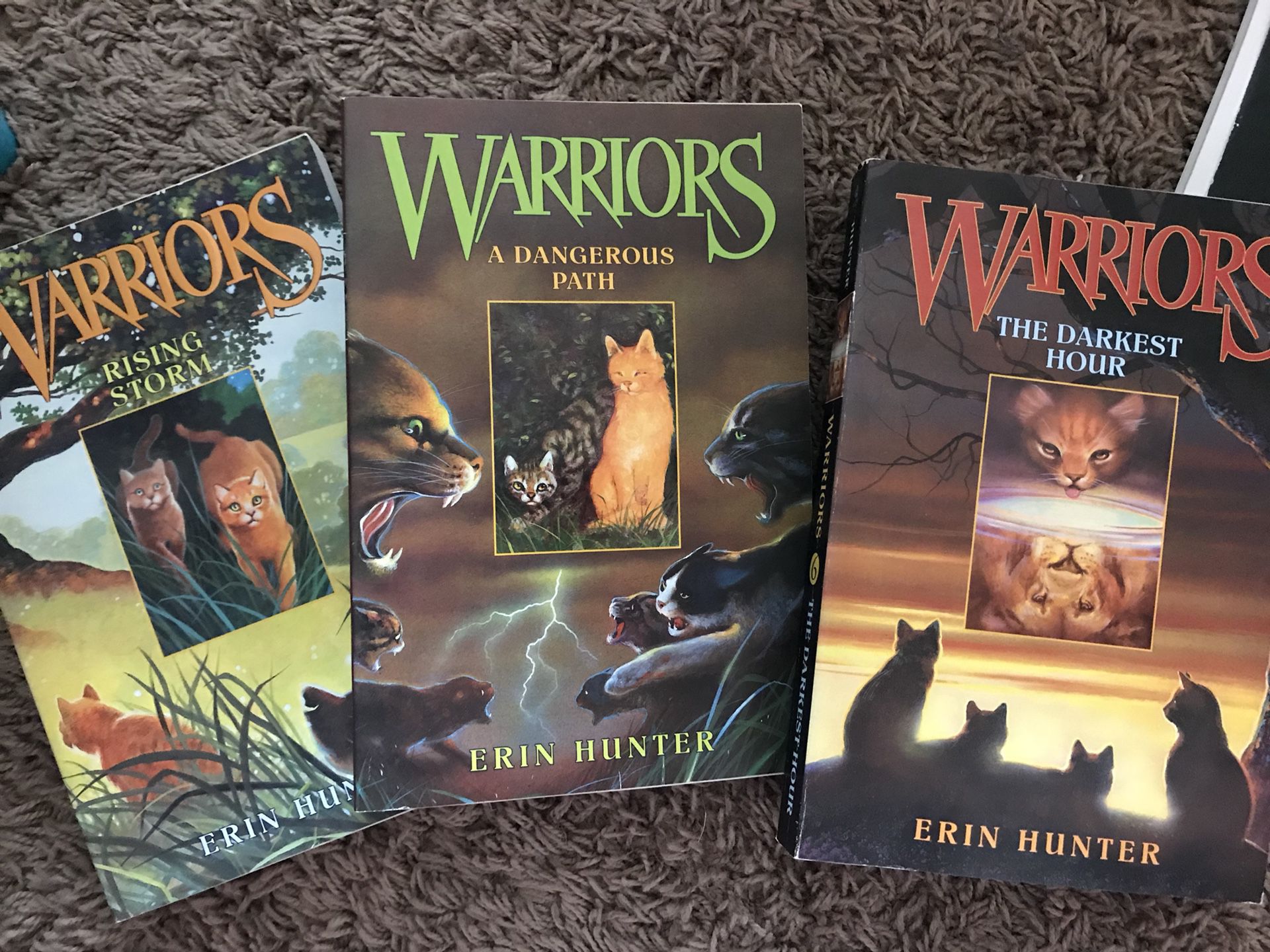 Warrior Cats books - Books - Port Orchard, Washington