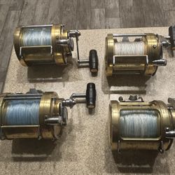 Penn International 50w