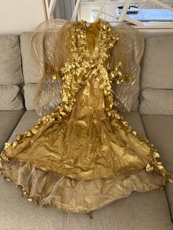Golden Phoenix/ Goddess costume with wings.