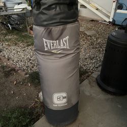 Everlast Punching Pag