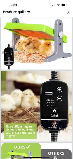 Chick Brooder Heater