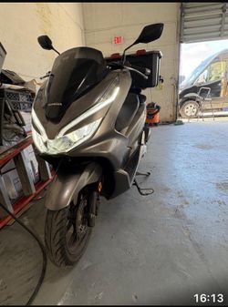 Scooter 2019 