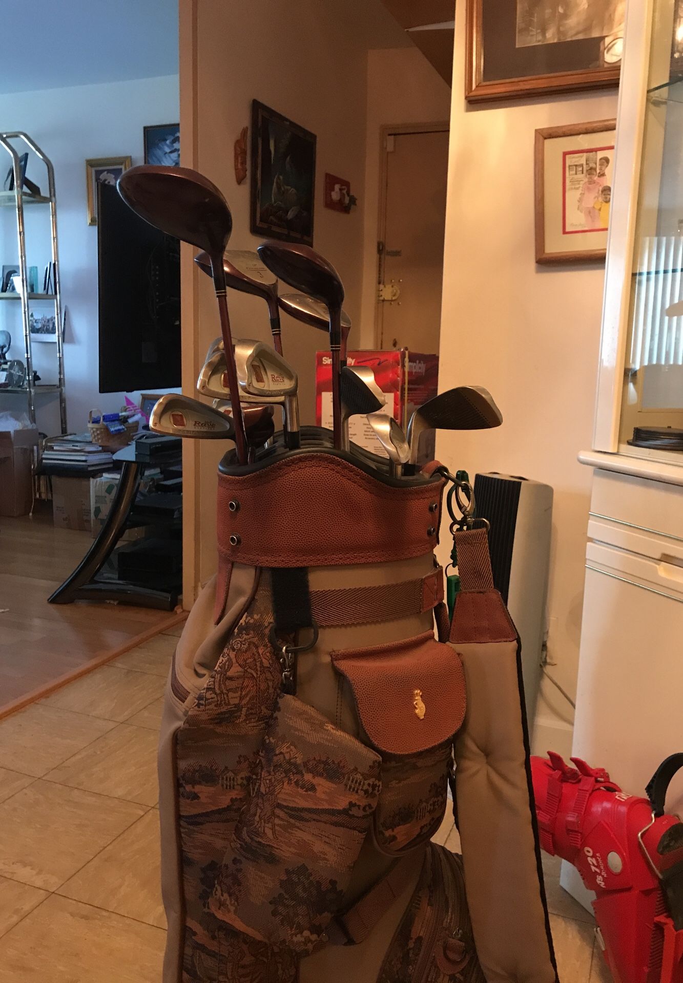 Lady Park Golf clubs with boutique golf bag