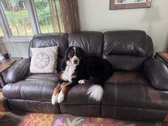 Brown dual recliner couch