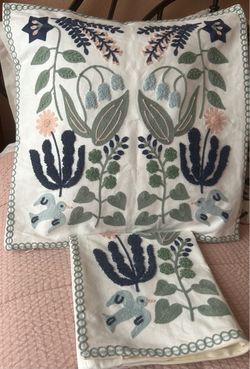 Pillow covers (2)