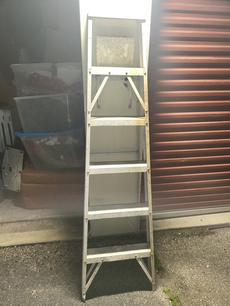 6 Ft Ladder