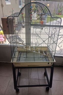 Bird cage