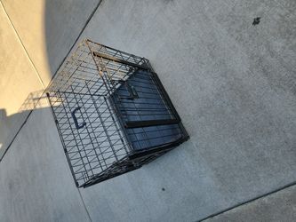 Dog Crate