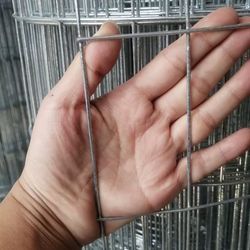 Hot-Dipped Galvanized Welded Wire Mesh (Heavy Duty)