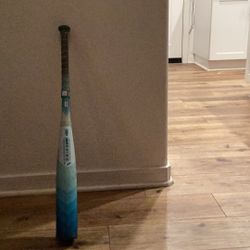 USSSA  Easton Arctic Flame Bat