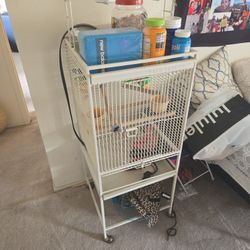 Bird Cage 
