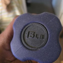 Weighted Exercise Bars