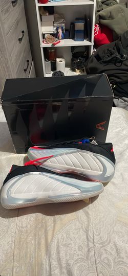 ANT 2s USA