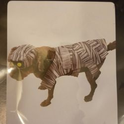 Pet mummy Costume