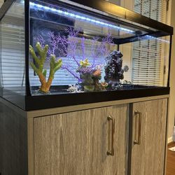 Salt Water Aquarium Tank With Stand. 