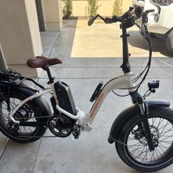 Super Clean Rad Electric Bike