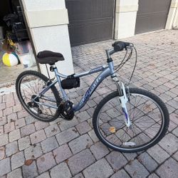 Adult Bike 