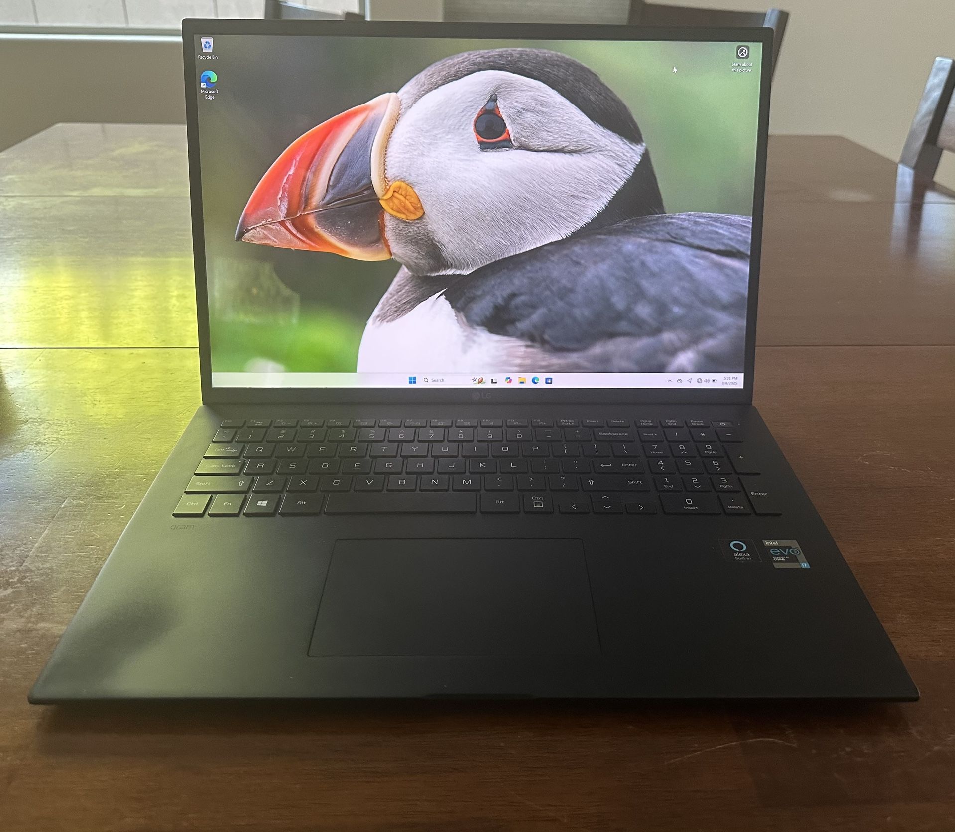 LG Gram 17 inch Intel Evo