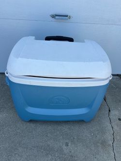 IGLOO COOLER
