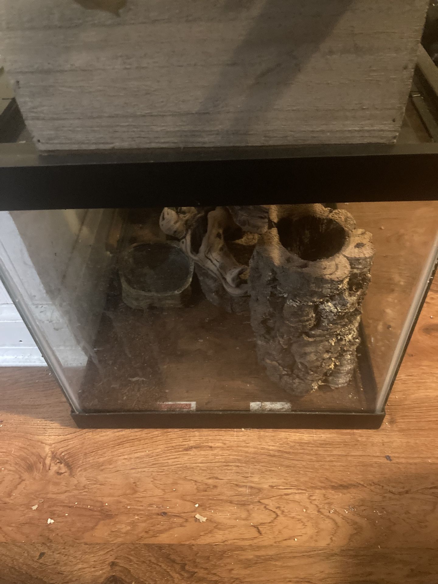Reptile Enclosure