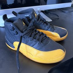 Jordan 12 Size 8
