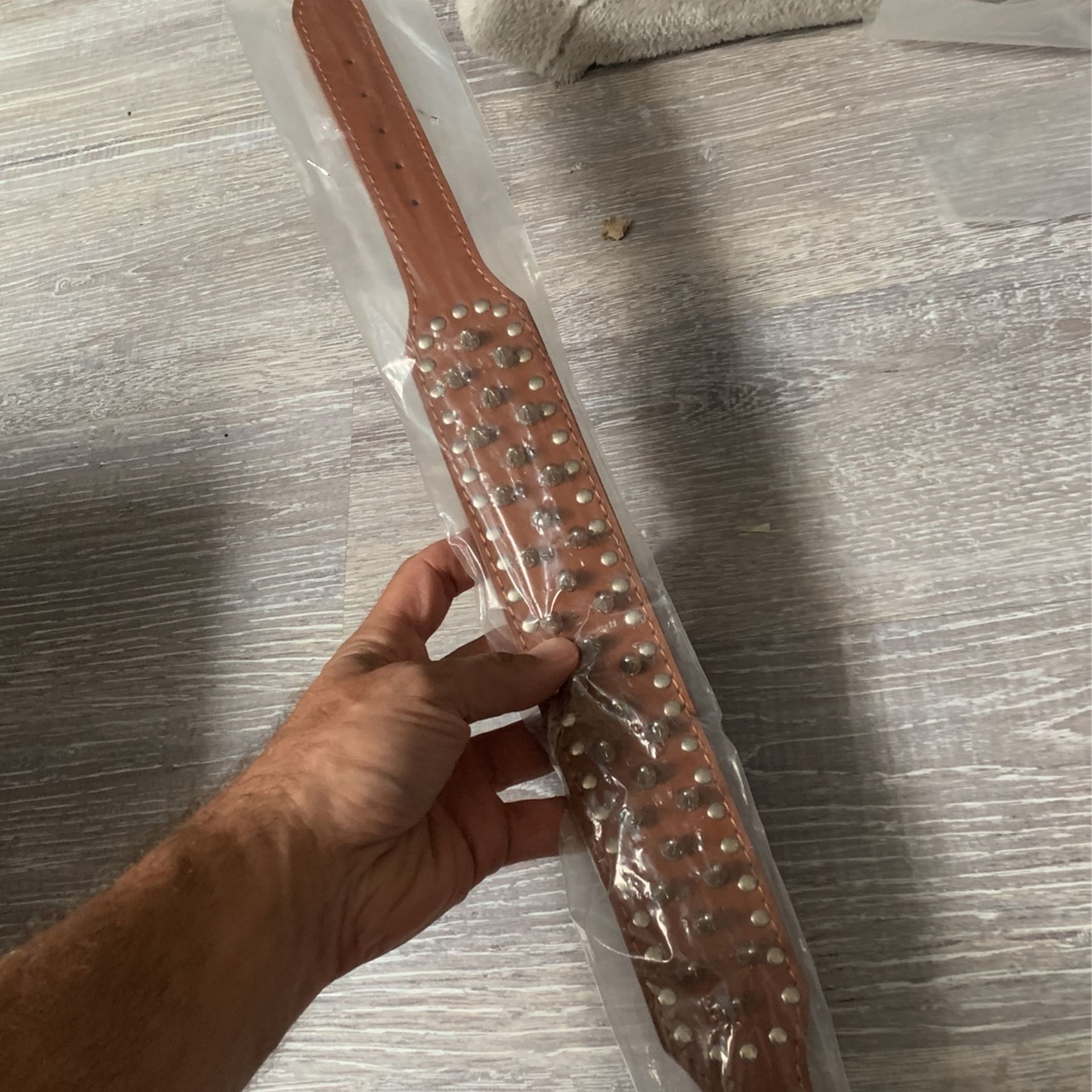 Pet Dog Collar