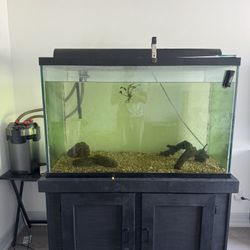 150 Gallon Aquarium 