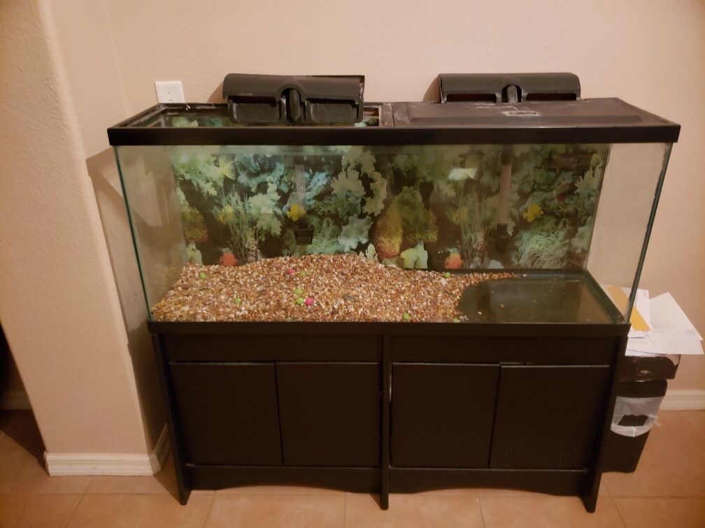 55 Gallon Fish Tank with stand