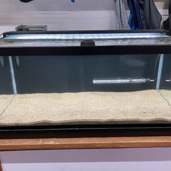 Full 40 Gallon Breeder Aquarium Setup - Cycled And Ready To Go - 2 Available