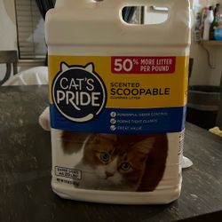 Cat Sand