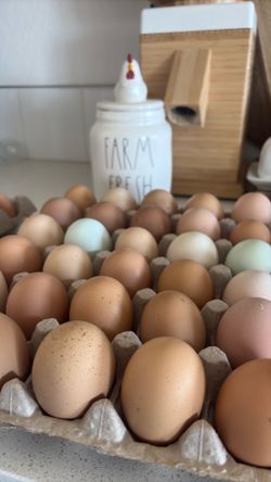 Farm Fresh Eggs
