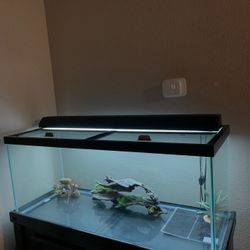 Fish Tank 