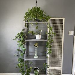 Plant stand / Plant holder 