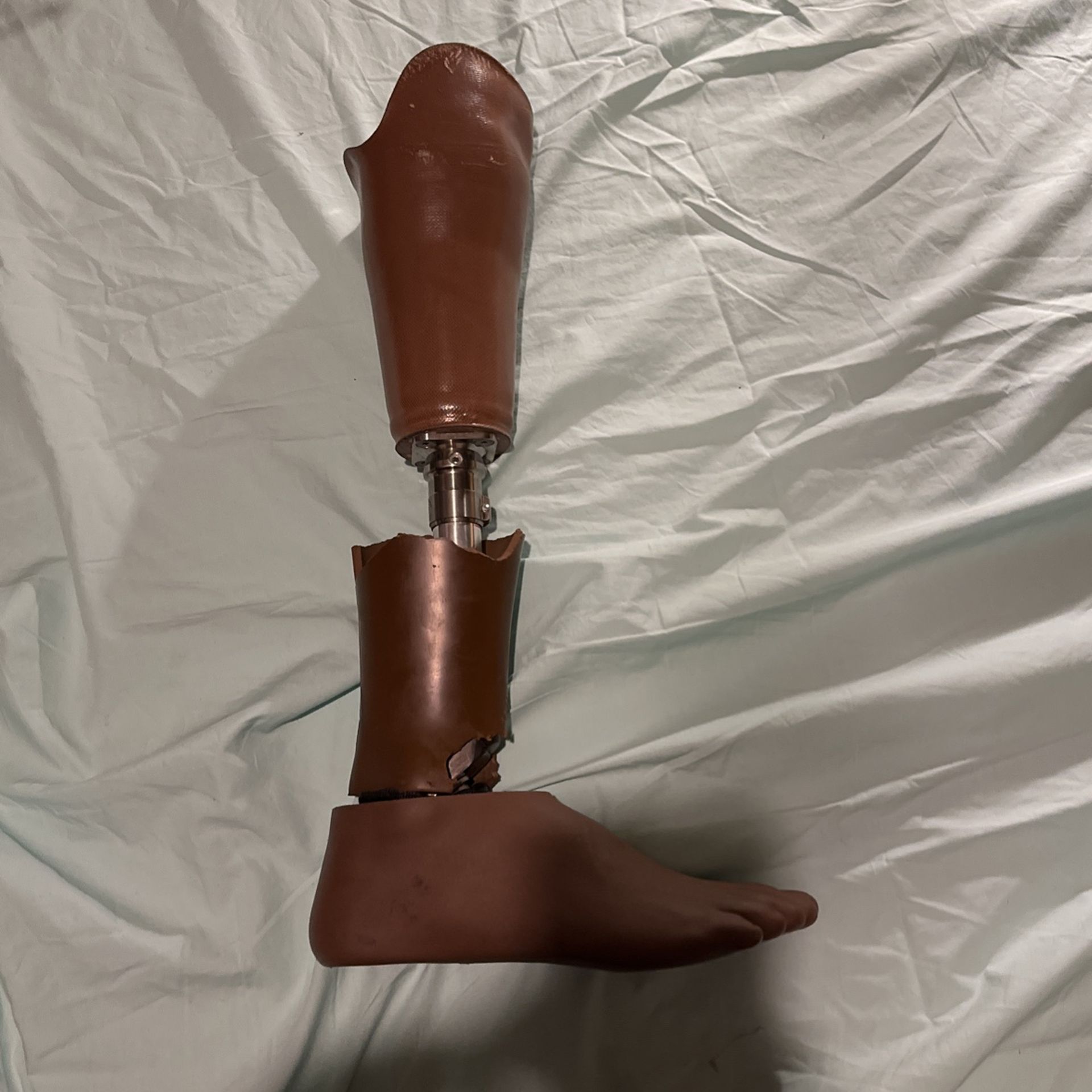Leg 