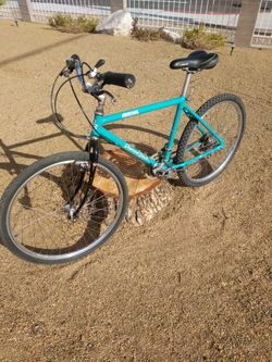 Diamondback Arrival 26 in mountain bike $175