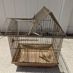 Bird Cage