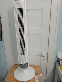 Fan