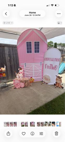 Farm birthday party