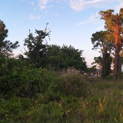 Land For Sale, Vacant Land, Lot In, 2606 7th St SW, Lehigh Acres, FL 33976