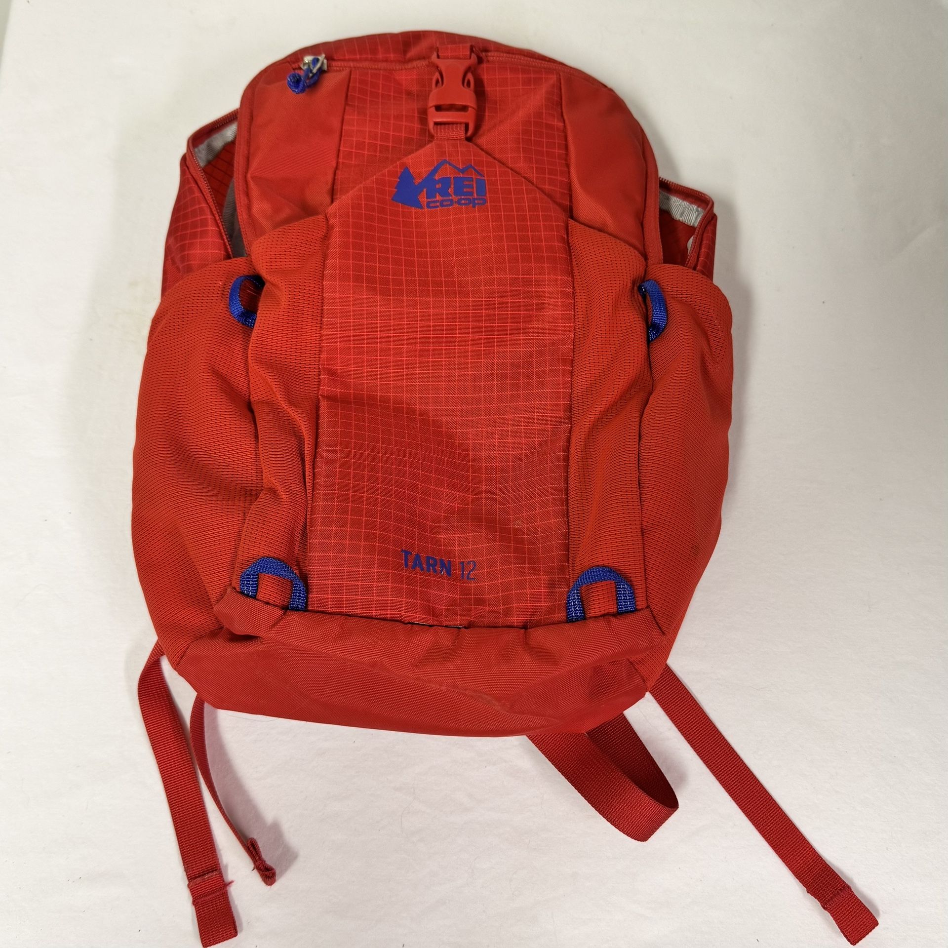 REI Small (kids) Backpack Tarn 12