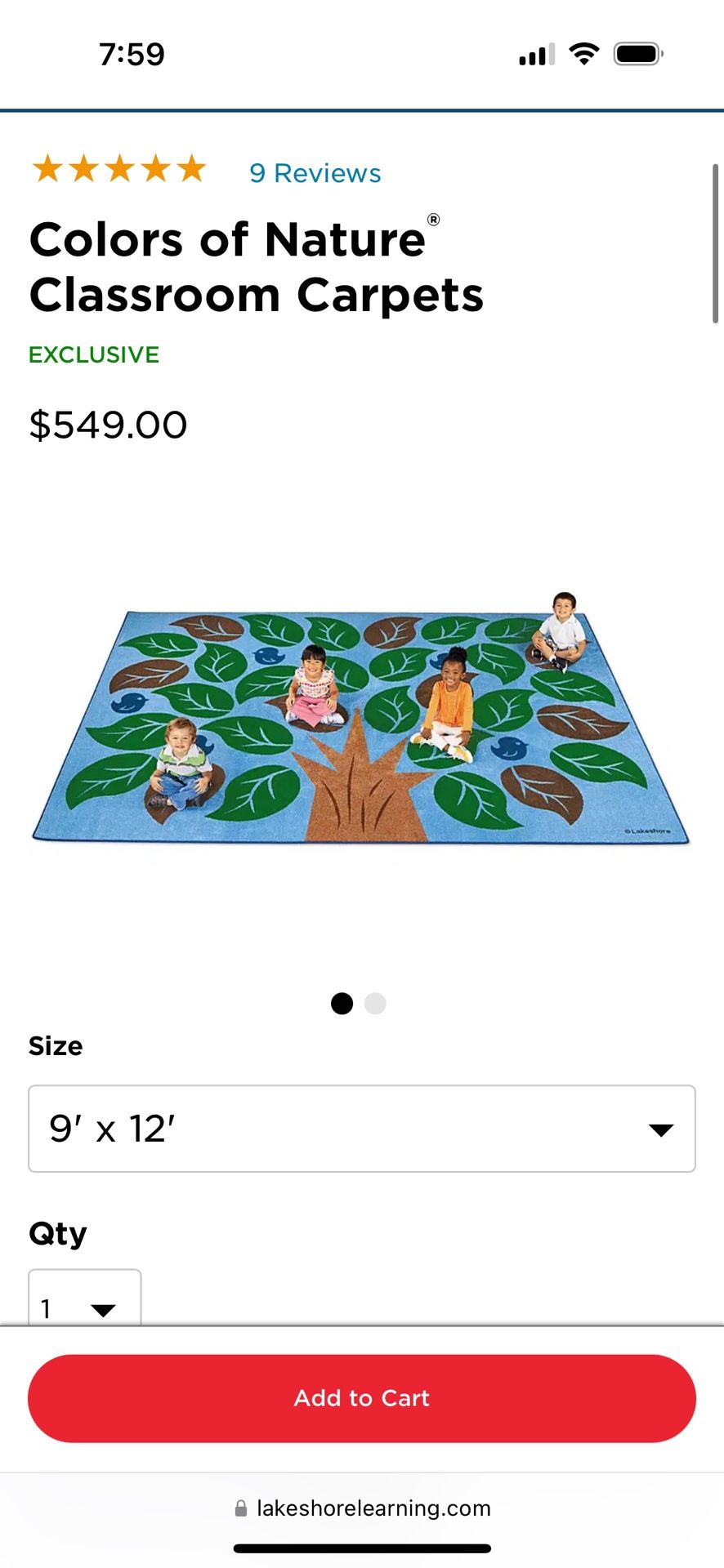 Classroom Rug