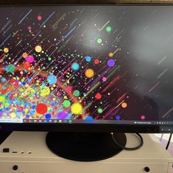 Lenovo ThinkVision Monitor (x2)
